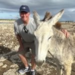 A man standing next to a donkey on the beach.